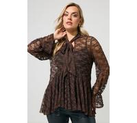 Yours Women's Flared Lace Peplum Tie Neck Blouse in Chocolate | Size: 16