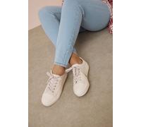 Yours - Natural Brown Canvas Trainers in Extra Wide Eee Fit - Women's