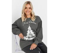 Yours Curve 'Merry Christmas' Diamante Embellished Sweatshirt - Women's - Plus Size Curve Grey