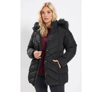 Yours Women's Short Padded Coat in Black | Size: 22/24