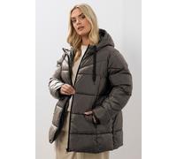 Yours Women's Short Padded Coat in Brown | Size: 16 Yours Brown 16