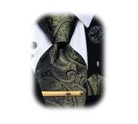 YourTies Silk Paisley Floral Tie and Pocket Square Cufflinks with Lapel Pin Sets for Men 5PC Wedding Party, Olive Green2, One Size