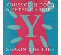 YOUSSOU N'DOUR & PETER GABRIEL - Youssou N'dour & Peter Gabriel Shakin' The Tree UK 45 7" single with Picture Slv