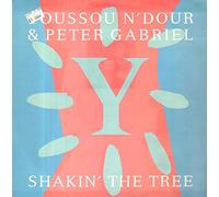 Youssou N'Dour - SHAKIN' THE TREE 12 INCH (12" VINYL) UK VIRGIN 1989