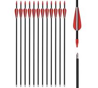 Youth Arrows Fiberglass 28 30 32 Inch Archery Recurve Bow Target Arrows Practice for Kids Beginners Outdoor (Pack of 12)