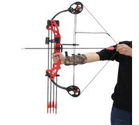 Youth Compound Bow for Kids, Adjustable Draw Weight 16-29lbs & Draw Length 19.29-28.35in, Archery Set with 12 Arrows, Arm Guard, Single Pin Sight for Outdoor Sport Training, Right Hand
