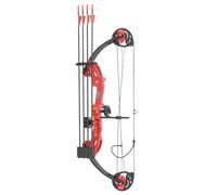 Youth Compound Bow Set, 16-29lbs Draw Weight, 19-28in Draw Length, Includes 12 Arrows, Arm Guard, Single Pin Sight & Target Paper, Safe & Adjustable Archery Training (Red)