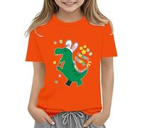 Youth Easter Shirts for Toddler Boy Short Sleeve Dinosaur Bunny Tshirt for Kids Girls Graphic Tee Crewneck Tops Baby Girl Outfits (Orange, 8-9 Years)