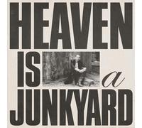 Youth Lagoon - Heaven Is A Junkyard (idaho Exclusive) [Vinyl LP] [VINYL]
