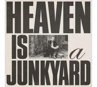 Youth Lagoon - Heaven Is a Junkyard - Vinyl Record - N3z