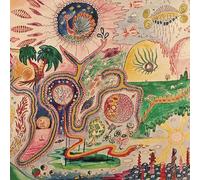 YOUTH LAGOON - Wondrous Bughouse