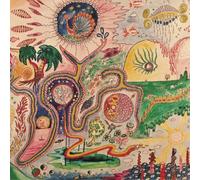 YOUTH LAGOON - Wondrous Bughouse [VINYL]