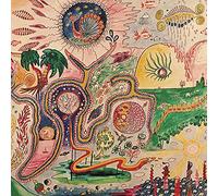YOUTH LAGOON - Wondrous Bughouse [VINYL]