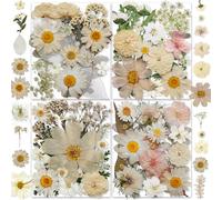 YouthBro 135PCS White Dried Pressed Flowers with Butterfly Stickers Real Nature Flowers Herb Set for Resin DIY Jewelry Candle Soap Vase Making Nail Card Scrapbook Art Craft Floral Decors
