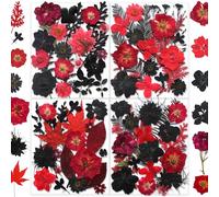 YouthBro 141PCS Black Red Dried Pressed Flowers for Resin Real Nature Flowers Herb Set for Christmas DIY Candle Soap Vase Making Nail Card Scrapbook Art Craft Floral Decors