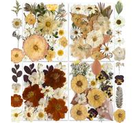 YouthBro 148PCS Dried Pressed Flowers for Resin Real Nature Flowers Herb Set for Christmas DIY Candle Soap Vase Making Nail Card Scrapbook Art Craft Floral Decors Boho Style