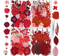 YouthBro 150PCS Red Dried Pressed Flowers with Butterfly Stickers Real Nature Flowers Herb Set for Resin DIY Jewelry Candle Soap Vase Making Nail Card Scrapbook Art Craft Floral Decors