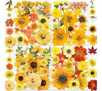 YouthBro 150PCS Yellow Dried Pressed Flowers for Resin Real Nature Flowers Herb Set for DIY Jewelry Candle Soap Vase Making Nail Card Scrapbook Art Craft Floral Decors