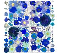 YouthBro 30 Types 147PCS Blue Dried Pressed Flowers with Butterfly Stickers Real Nature Flowers Herb Set for Resin DIY Jewelry Candle Soap Vase Making Nail Card Scrapbook Art Craft Floral Decors