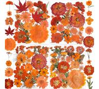YouthBro 34 Types 144PCS Orange Dried Pressed Flowers with Butterfly Stickers Real Nature Flowers Set for Resin DIY Jewelry Candle Soap Vase Making Nail Card Scrapbook Art Craft Floral Decors