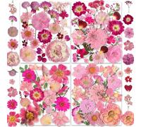YouthBro 35 Types 146PCS Pink Dried Pressed Flowers with Butterfly Stickers Real Nature Flowers Set for Resin Jewelry Candle Soap Vase Making Nail Card Scrapbook Art Craft Floral Decors