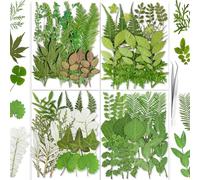 YouthBro 85PCS Real Dried Pressed Leaf Leaves, Green Nature Plant Herbarium Set for DIY Jewelry Candle Soap Vase Making Nail Card Scrapbook Art Craft Floral Decors