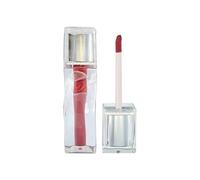 Youthful Charm Lipstick and Lip Gloss - Conveniently Portable Shades for School, Commuting, Dates, Travel, and Shopping(9 Rich Plasma)