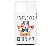 You've Cat To Be Kitten Me Cute & Funny Meow Cats Pun Case for iPhone 12 Pro Max