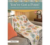 You've Got a Point!: Stunning Quilts with Triangle-In-A-Square Blocks
