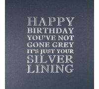 You've Not Gone Grey- Quality Open Birthday Card - MN9