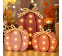 Youyole 3 Pcs Fall Decorations for Home Light up Pink Wooden Pumpkins with Bow Pumpkins Light Battery Operated Rustic Harvest Decor for Thanksgiving Halloween Home Kitchen Tabletop Decor