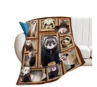 yowecso Cute Ferret Blanket Super Soft Cozy Ferret Animal Throw Blanket for Kids Girls Boys Women Teens Adults Lightweight Flannel Fleece Fuzzy Bedding Blankets Gifts for Sofa Couch 50"x40"