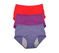 YOYI FASHION Bamboo Viscose Fiber Menstrual Period Leakproof Panties 3 Pack Size 10, Red,Purple,Denim Blue