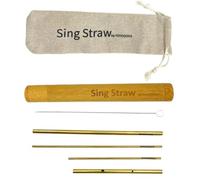 YOYODOGS Vocal Training and Healing Aid Tool,Sing Straw Voice Vocal Trainer Metal Therapy Tool(Vocal Training-D)
