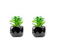 YOYUMI Artificial Plants Simulation Of Green Plants And Succulent Artificial Plants Home Furnishings Decoration Fake Flowers Simulation Flowers Plastic Green Plants Small Bonsai, Desert Rose