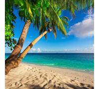 YOZYOOOZ Beach Coconut Tree Blue Sky White Cloud Landscape 3D Mural Self-Adhesive Wallpaper for Living Room Bedroom Restaurant Home Decoration Office