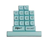 YPBEW 17Pieces PBTs Keycap XDA Profile DYE SUB Keycap for Cherries Switches Mechanical Keyboard 61 SK61 TKL87 108 Xda Profile Pbts Keycaps