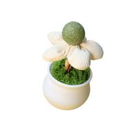 YPBEW Catnips Licking Ball with Flower Pots Shape for Kittens Fun and Relaxation Indoor Enrichment Teaser Potted Plant Cats Teaser Toy