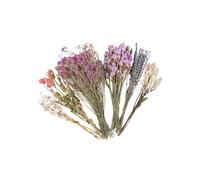 YPBEW Colorful Flower Hamster Cage Accessory with Dried Flower for Natural Nesting and Decors Holiday Hamster Bedding Gift Set