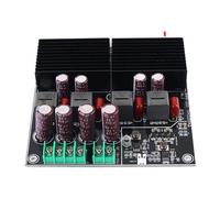 YPBEW Digital Sound Amplifier Board 600W Double Channel Output Wide Frequency 20Hz to 30KHz for Professional Sound HiFi Double Amplifier