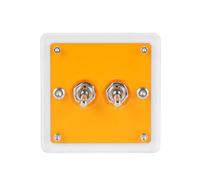 YPBEW Fashionable Acrylic Single or Double Control Toggles Wall Switches Panel Plate for Living Room and Offices Wall Decors Double Control Switches Plate