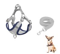 YPDOPORA Adjustable Dog Harness for Small Dogs Cat, No-Pull Dog Harness and Leash Set, Escape Proof Comfortable Reflective Vest, Easy To Wear Durable, Breathable for Outdoors Walking,Gray,XL