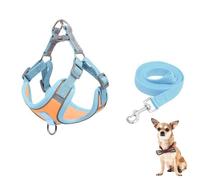 YPDOPORA Adjustable Dog Harness for Small Dogs Cat, No-Pull Dog Harness and Leash Set, Escape Proof Comfortable Reflective Vest, Easy To Wear Durable, Breathable for Outdoors Walking,Yellow,S