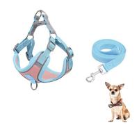 YPDOPORA Adjustable Dog Harness for Small Dogs Cat, No-Pull Dog Harness and Leash Set, Escape Proof Comfortable Reflective Vest, Easy To Wear Durable, Breathable for Outdoors Walking,Pink,L