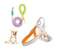 YPDOPORA Adjustable Puppy Vest, Step-In Reflective Dog Harness Vest with Leash D-Ring, Breathable Mesh Padded Pet Harness for Small Medium Dogs, Dog Leash for Walking and Training,Orange,XL