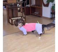 YPDOPORA Dachshund Dog Winter Coat, Warm Adjustable Fleece Dog Jacket,Soft Pet Jacket Vest for Winter,Windproof Turtleneck Dogs Jumpsuit Pajamas for Small Medium Dogs,S