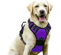 YPDOPORA Dog Harness No Pull with 2 Leash Clips, Adjustable Soft Padded, Reflective Oxford No Choke Pet Vest with Easy Control Handle for Large Dogs,E,L