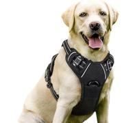 YPDOPORA Dog Harness No Pull with 2 Leash Clips, Adjustable Soft Padded, Reflective Oxford No Choke Pet Vest with Easy Control Handle for Large Dogs,A,L