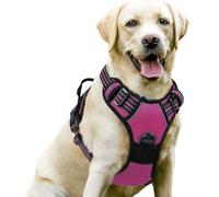 YPDOPORA Dog Harness No Pull with 2 Leash Clips, Adjustable Soft Padded, Reflective Oxford No Choke Pet Vest with Easy Control Handle for Large Dogs,H,S