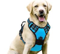 YPDOPORA Dog Harness No Pull with 2 Leash Clips, Adjustable Soft Padded, Reflective Oxford No Choke Pet Vest with Easy Control Handle for Large Dogs,G,L